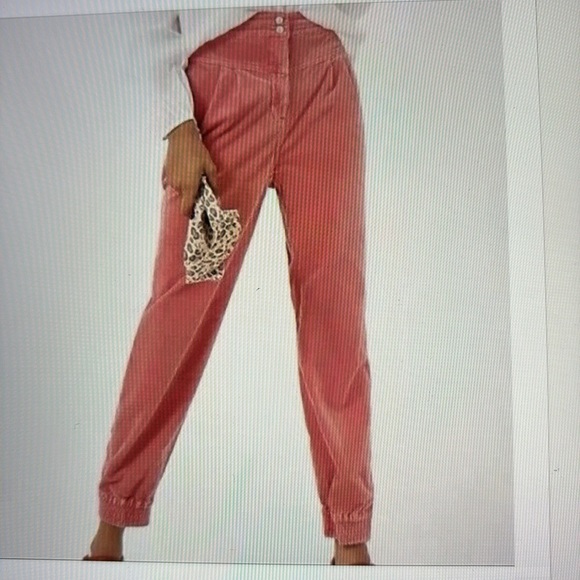 Anthropologie Kalea Velvet Trouser Jogger M - Picture 1 of 10
